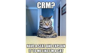 mobile crm cat mem