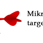 mikro-targetowanie