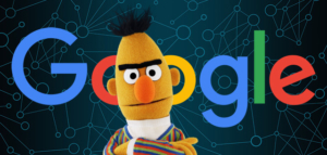 Google BERT algorytm