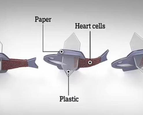 RoboFish Harvard University